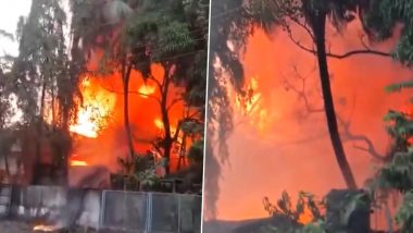 Gujarat Fire: Massive Blaze Erupts In a Company At Umargam of Valsad Due to Large Quantity of Chemicals, Fire Tenders Rushed to Spot (Watch Video)