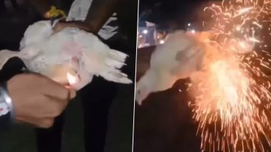 Animal Cruelty in Assam: Boys Insert Firecracker In Hen’s Private Part and Burst It, Shocking Video Surfaces