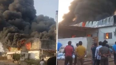 Telangana Fire: Blaze Erupts in Thermocol Company in Shamshabad, No Injuries Reported (Watch Video)