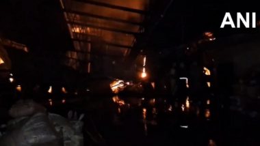 Punjab Fire: Massive Blaze Erupts at Plastic Factory in Ludhiana’s Nichi Village, No Casualties Reported (Watch Video)