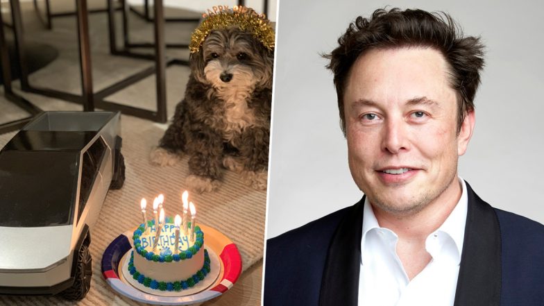 Elon Musk Celebrates His Pet Dog Marvin's Birthday, Shares Adorable Photo on X