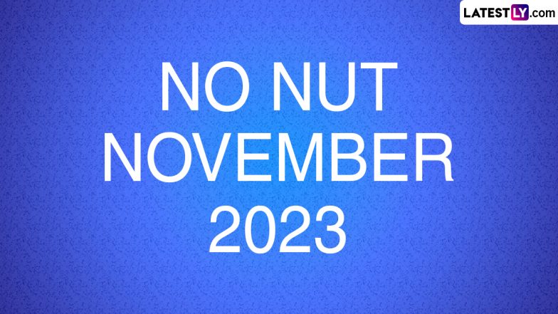 No Nut November 2023 Meaning Rules NNN Song Lyrics Significance   No Nut November 2023 784x441 