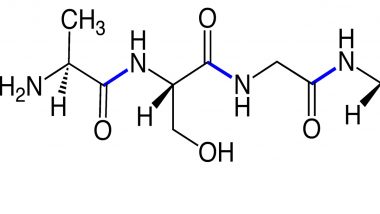 The Most Commonly Used Peptides in Weight Research