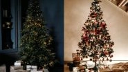 Christmas 2023 Christmas Tree: Everything You Must Know About Real and Artificial Christmas Tree Before Buying One for the Festival