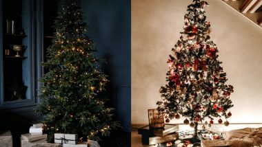 Christmas 2023 Christmas Tree: Everything You Must Know About Real and Artificial Christmas Tree Before Buying One for the Festival