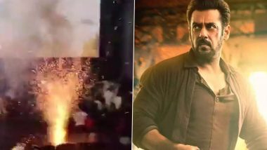Salman Khan Condemns Bursting Firecrackers Inside Theatres Screening Tiger 3, Also Criticises Fans Who Waste Milk on Actors' Posters (Watch Video)
