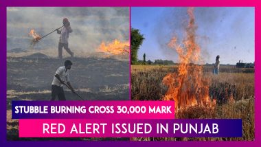 Stubble Burning: Total Farm Fires Cross 30,000 Mark On November 15 In Punjab, State Declares Red Alert