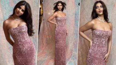 Suhana Khan is a Pretty Princess in Glittery Pink Strapless Gown for Dad Shah Rukh Khan's Birthday Bash (Watch Video)