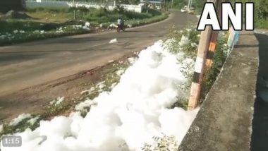 Tamil Nadu: Toxic Foam Overflows From Ayanpappakudi Canal, Poses Threat to Road Users in Madurai (Watch Video)