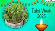 Tulsi Vivah 2023 Date and Time in India: Know Tulasi Kalyanam Shubh Muhurat, Puja Vidhi and Significance of the Auspicious Day