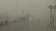 Jammu and Kashmir Temperature: Severe Cold Wave Grips Kashmir, Morning Fog Lowers Visibility on Roads