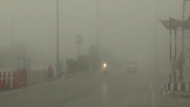 Jammu and Kashmir Temperature: Severe Cold Wave Grips Kashmir, Morning Fog Lowers Visibility on Roads