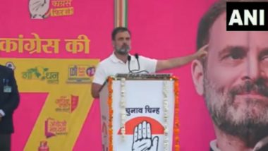 If Congress Government Is Formed at the Centre, We Will Start Caste Census in Country, Says Rahul Gandhi (Watch Video)