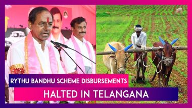 Telangana Assembly Election 2023: Ahead of Polling, EC Asks BRS Govt To Stop All Disbursements Under Rythu Bandhu Scheme