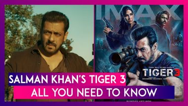 Tiger 3: From Cast to Release Date - Everything You Need To Know About Salman Khan & Katrina Kaif's Film