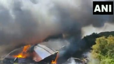 Karnataka Fire: Eight Fishing Boats Gutted in Massive Blaze in Udupi District (Watch Video)