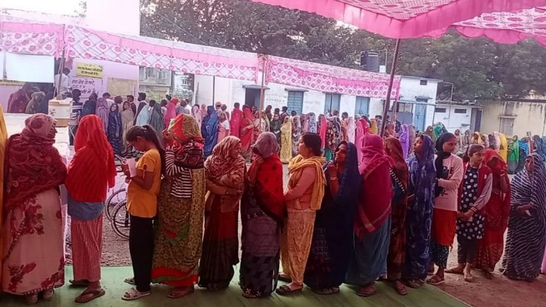 Assembly Elections 2023: Madhya Pradesh Sees Over 74% Polling; 70.60% Voter Turnout in Second Phase Chhattisgarh Polls, Says Election Commission