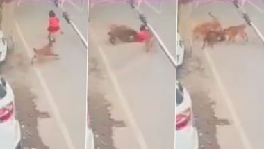 Ludhiana Dog Attack: Minor Girl Injured After Stray Dogs Charge at Her, Video Surfaces