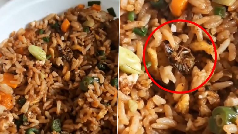 Bengaluru Woman Discovers Dead Cockroach in Chicken Fried Rice Ordered Via Food Delivery App Zomato, Company Responds After Video Goes Viral