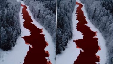 River Turns Red in Russia: Iskitimka River Mysteriously Turns Into Unnatural Shade of Red in Kemerovo, Old Video Surfaces Again