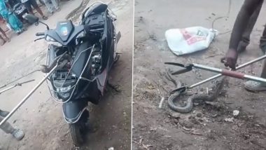 Chennai: Fire Department Rescues 7-Foot Snake Found Coiled in Scooter (Watch Video)