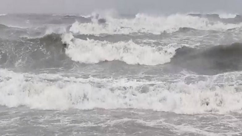 Cyclone Michaung in Andhra Pradesh: CM YS Jagan Mohan Reddy Reviews Cyclonic Relief Measures, Directs Officals To Provide All Essential Items to the People