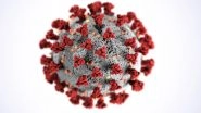 COVID-19 Variant JN.1 in Delhi: National Capital Reports First Case of New Coronavirus Strain