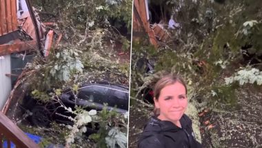 US: Portion of House Reduced To Rubble After Uprooted Tree Collapses, Moment of Horror Caught on Camera (Watch Video)