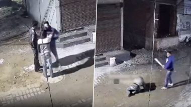 Punjab Man Fights Off Three Mobile Snatchers, Beats Them Black and Blue After They Threatened Him With Knife; Video Surfaces