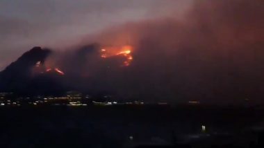 South Africa Wildfire Videos: Five Injured as Wildfire Threatens Largest Naval Base in Simon's Town