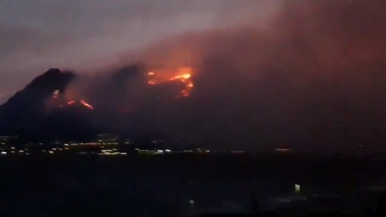 South Africa Wildfire Videos: Five Injured as Wildfire Threatens Largest Naval Base in Simon's Town