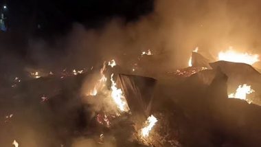 Jharkhand Fire: Massive Blaze Erupts at Daily Vegetable Market in Ranchi, Several Shops Gutted