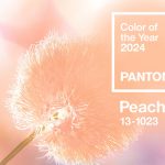 Pantone Color of the Year 2024 Is Peach Fuzz – It’s Time To Envelop Yourself in PANTONE 13–1023 Peach Fuzz!