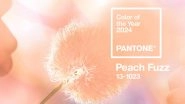 Pantone Color of the Year 2024 Is Peach Fuzz &ndash; It's Time To Envelop Yourself in PANTONE 13&ndash;1023 Peach Fuzz!