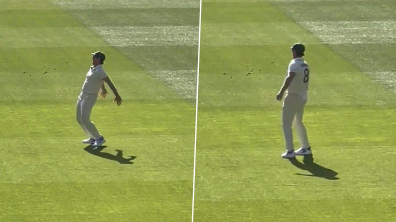 Mitchell Marsh Entertains Crowd with Cristiano Ronaldo's Famous 'Suiii' Celebration During AUS vs PAK 2nd Test 2023 Day 2 (Watch Video)