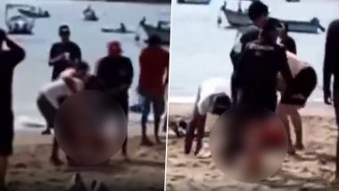Mexico: Woman Dies After Shark Bites Off Her Leg at Melaque Beach, Daughter Miraculously Escapes Despite Being Beside Her; Disturbing Video Surfaces