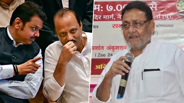 Devendra Fadnavis Asks Ajit Pawar Not to Include Nawab Malik in 'Mahayuti'