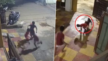 Dog Attack in Hyderabad Video: 5-Year-Old Injured as Street Dog Attacks Him Outside Apartment; Disturbing Video Surfaces