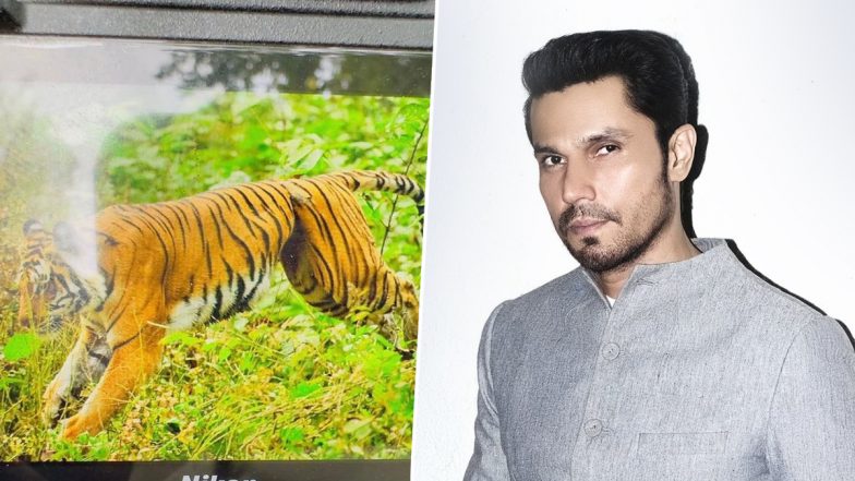 Randeep Hooda Shares Picture of a Snare Struck in a Tigress’ Stomach, Requests Help From CM Pushkar Dhami and Uttarakhand Forest Department (View Pic)