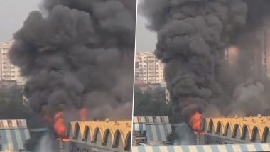 Mumbai Fire: Massive Blaze Erupts Inside a Canteen at Lokmanya Tilak Terminus Platform, No Casualties (Watch Video)