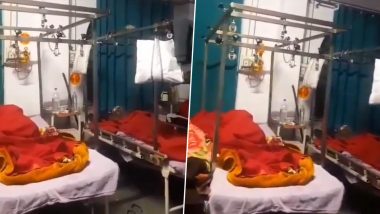 Rats in UP Hospital: Rodents Run Over Patients in Hospital in Rampur, Video Goes Viral