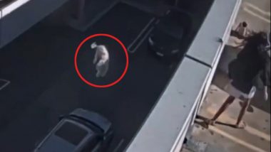 Australia Shocker: Woman Throws Her Pet Dog from Shopping Centre Terrace, Jailed for 10 Years After Video Goes Viral