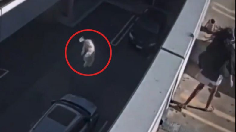 Australia Shocker: Woman Throws Her Pet Dog from Shopping Centre Terrace, Jailed for 10 Years After Video Goes Viral