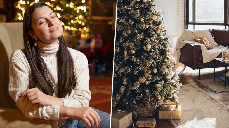 Christmas 2023: Live Christmas Trees Release Chemicals Called 'Volatile Organic Compound' That Can Create Fresh Smell Affecting Indoor Air Chemistry, Say Researchers - Vimarsana News
