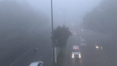 Delhi Fog: 24 Trains to National Capital From Various Parts of Country Running Late Due to Low Visibility, Check List
