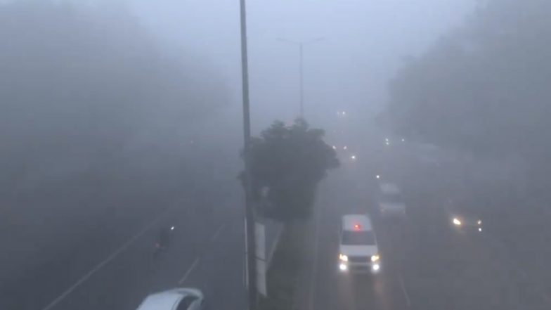 Delhi Weather Update: 80 Flights, Several Trains Delayed After Dense Fog Envelopes National Capital