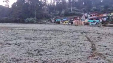 Tamil Nadu: Village Turns Iceland As Minimum Temperature Drops to 0 Degree Celsius in Nilgiris (Watch Video)
