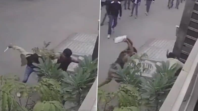 Delhi Shocker: Man Chased and Beaten in Broad Daylight as Bystanders Fail to Intervene in Adarsh Nagar; Disturbing Video Surfaces Delhi Shocker: Man Chased and Beaten in Broad Daylight as Bystanders Fail to Intervene in Adarsh Nagar; Disturbing Video Surfaces