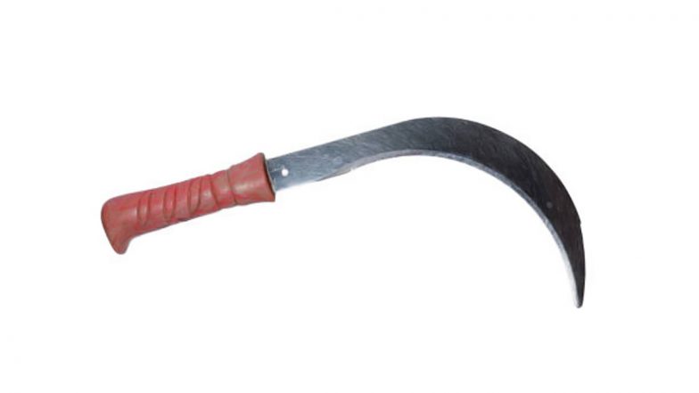 Uttar Pradesh Shocker: Disturbed by Crying, Mentally-Challenged Man Kills Grandson, Daughter-in-Law With Sickle in Sitapur