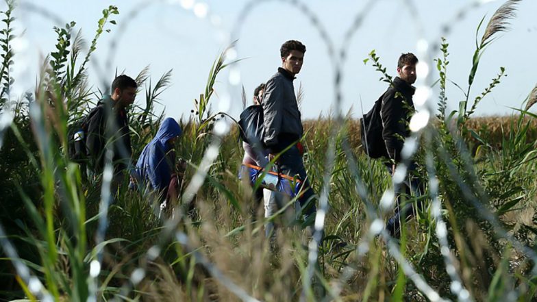 US: Woman From Gujarat Suffers Head Injury While Allegedly Trying To Cross 'Trump Wall', Enter United States Illegally With Family